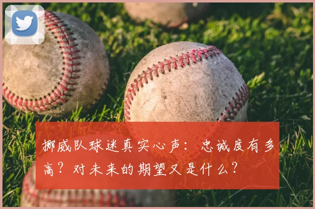 挪威队球迷真实心声:忠诚度有多高?对未来的期望又是什么?
