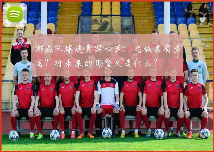 挪威队球迷真实心声：忠诚度有多高？对未来的期望又是什么？
